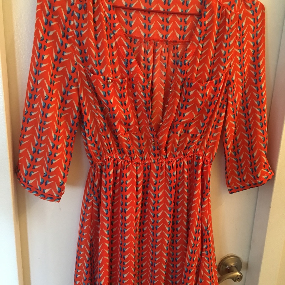 Carolina Williamson dress
